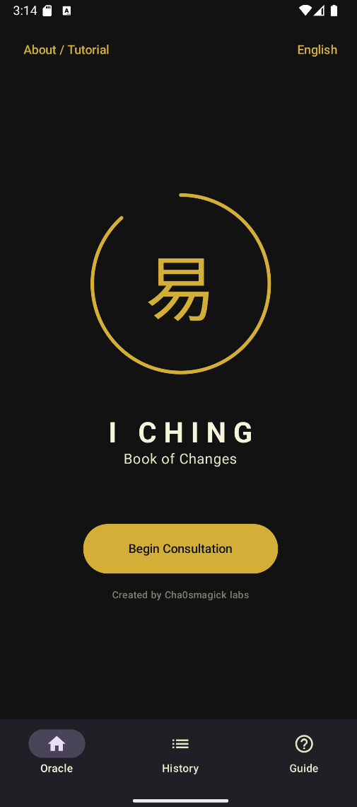 I Ching Oracle screenshot